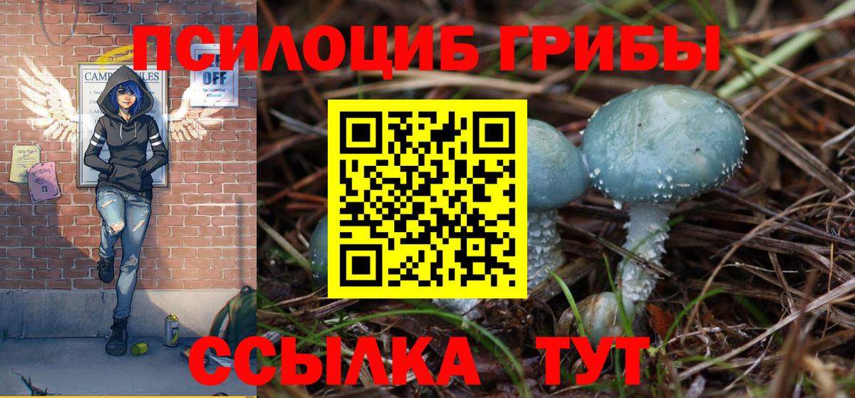 Галлюциногенные грибы Magic Shrooms  Псилоцибиновые грибы GOLDEN TEACHER  Вход с VPN  Троицк 