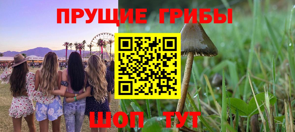Галлюциногенные грибы MAGIC MUSHROOMS Троицк